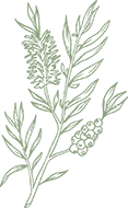Decora&ccedil;&atilde;o Flor
